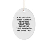 Funny Surveyor Gifts from Friends, Gifts for Surveyor, Oval Ornament for Christmas - Image 1